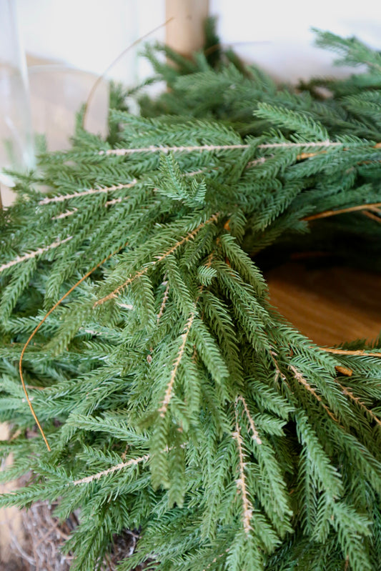Norfolk Pine Garland 6'