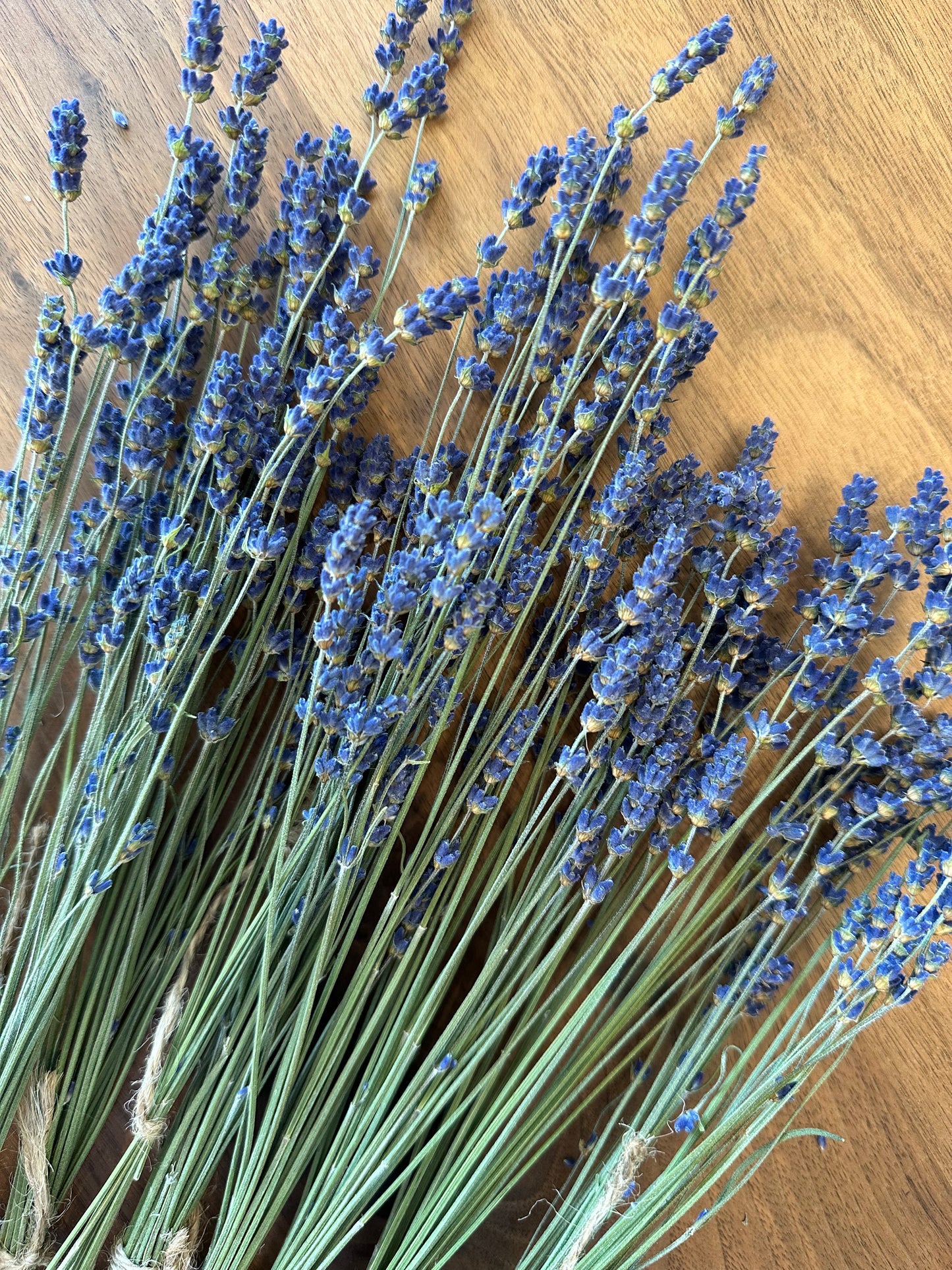 Fresh Lavender - Bundle of 3