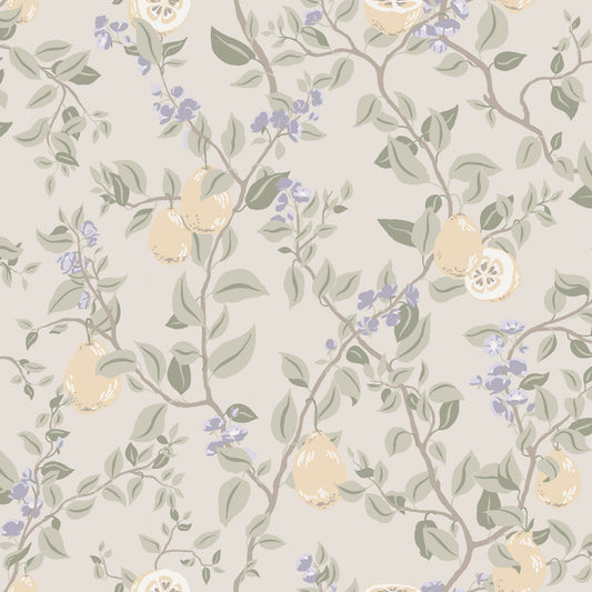 Kvitten, Lilac
