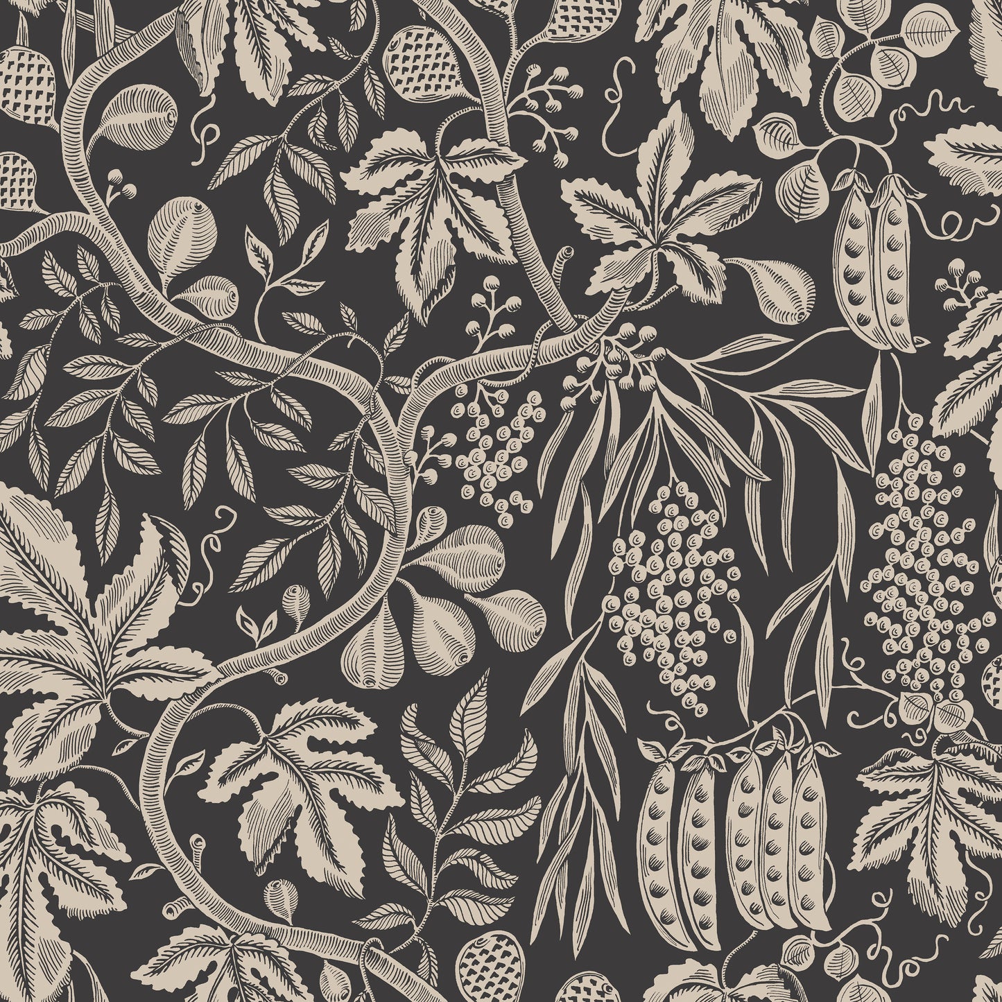 Fig Garden, Charcoal