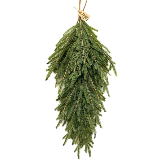 Norfolk Pine Swag
