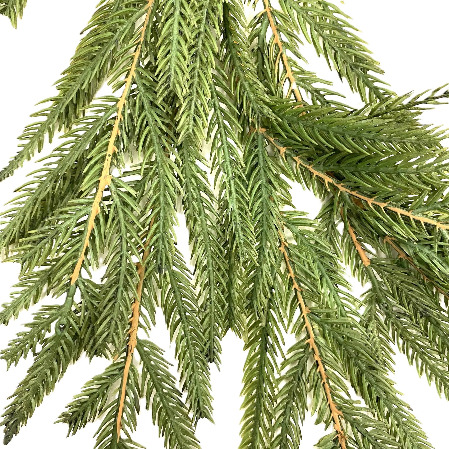 Norfolk Pine Garland 6'