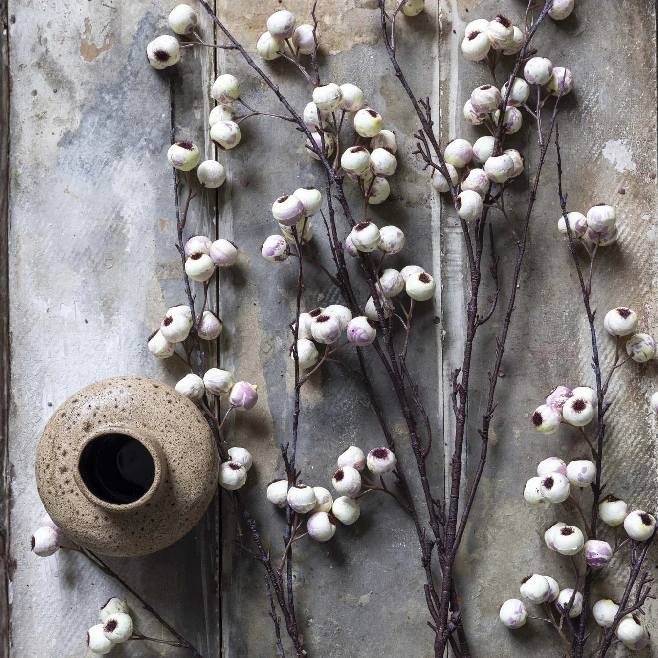 Hawthorn Branch - Cream