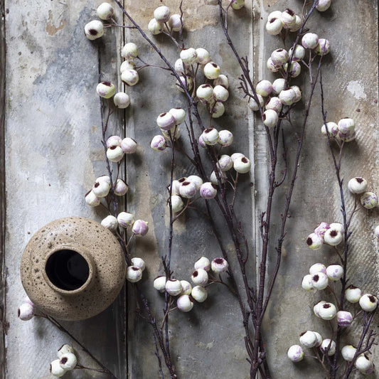 Hawthorn Branch - Cream