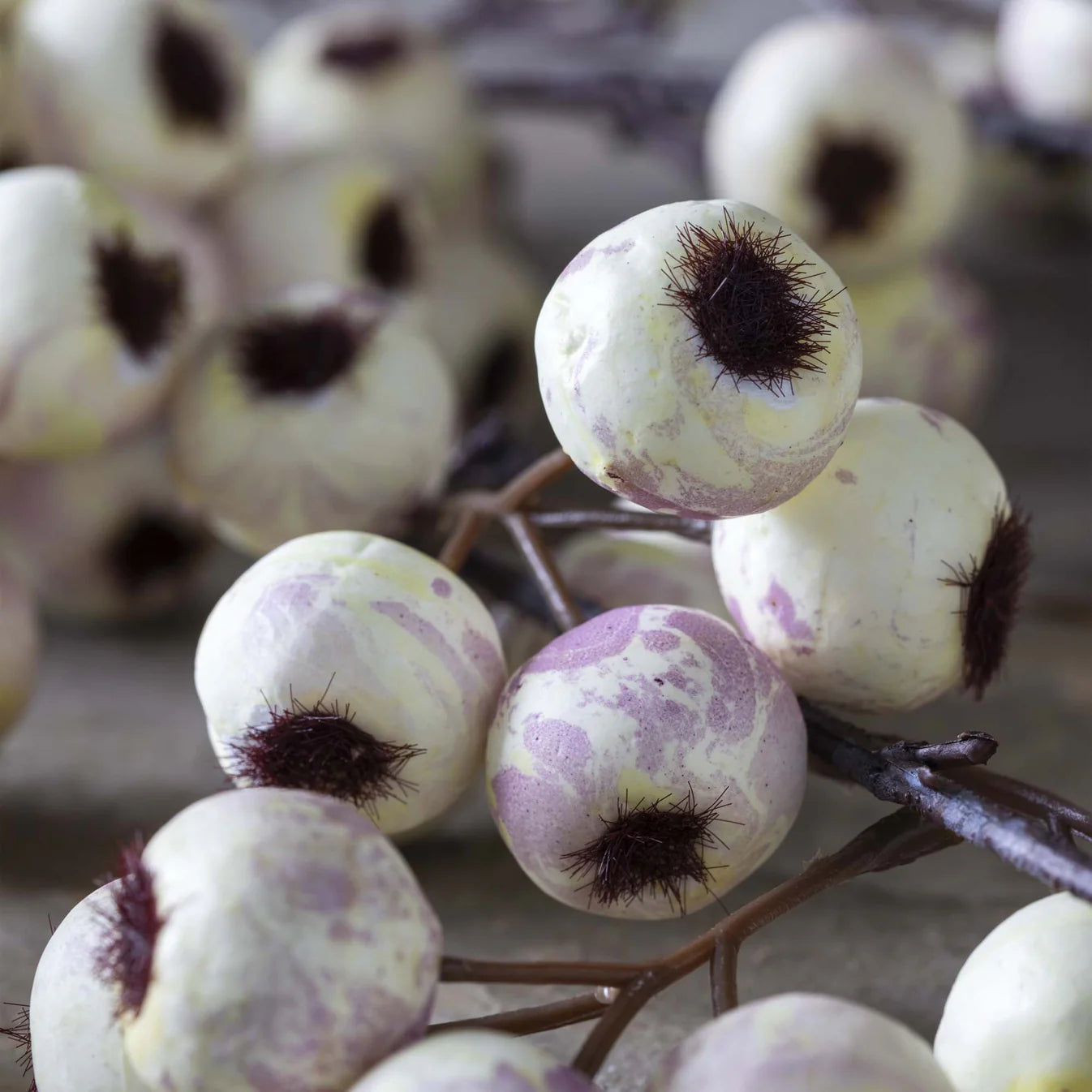 Hawthorn Branch - Cream