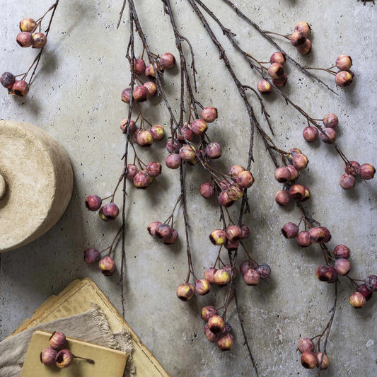 Hawthorn Branch - Pink