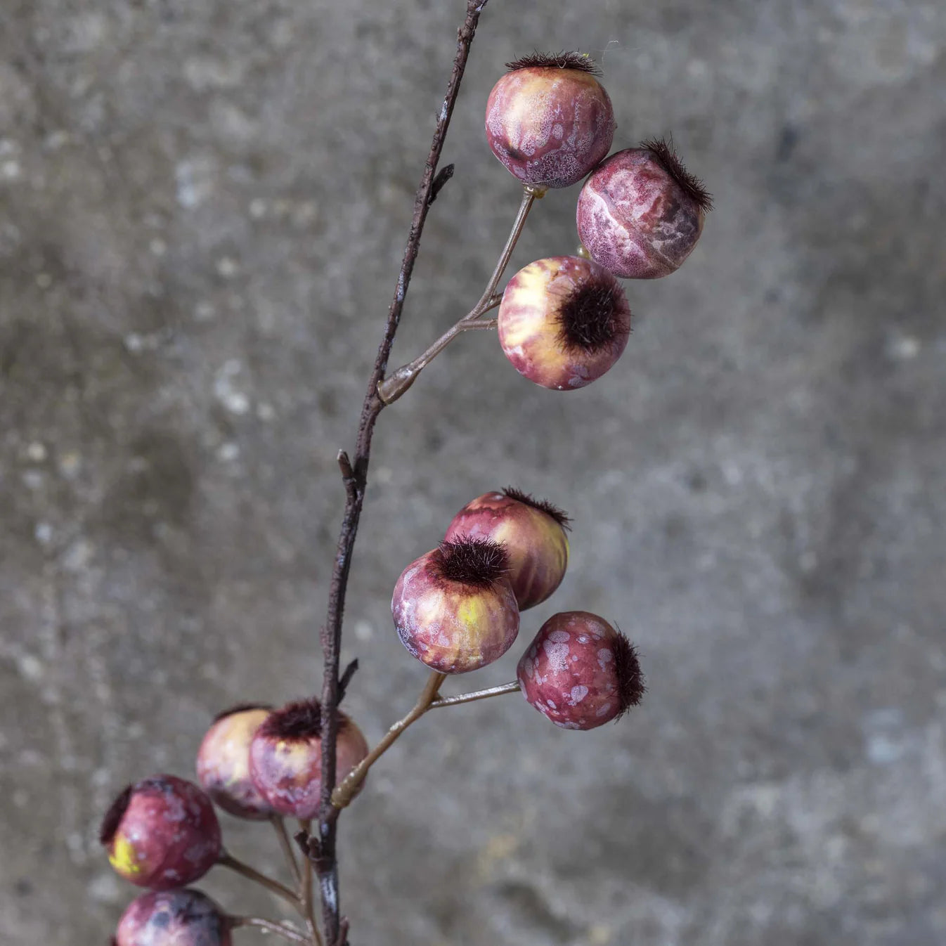Hawthorn Branch - Pink