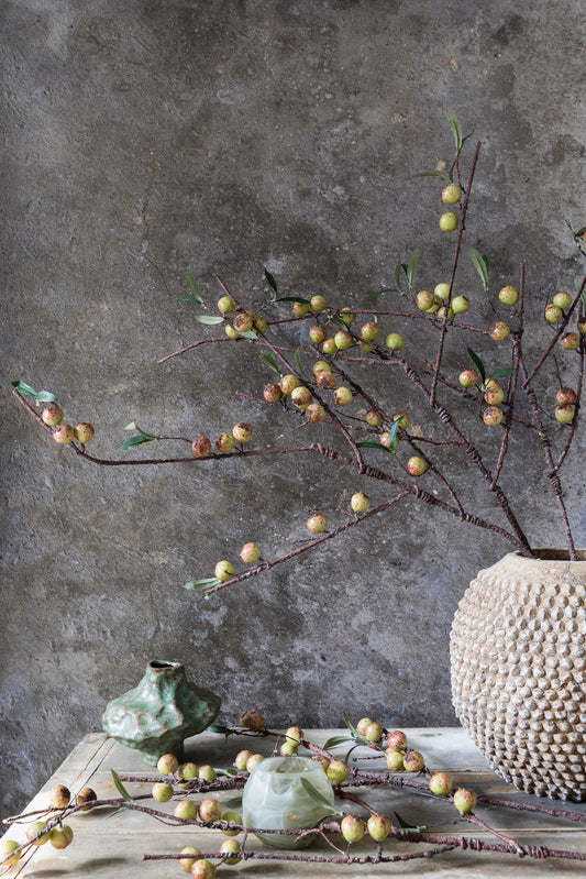 Dappled Rosehip