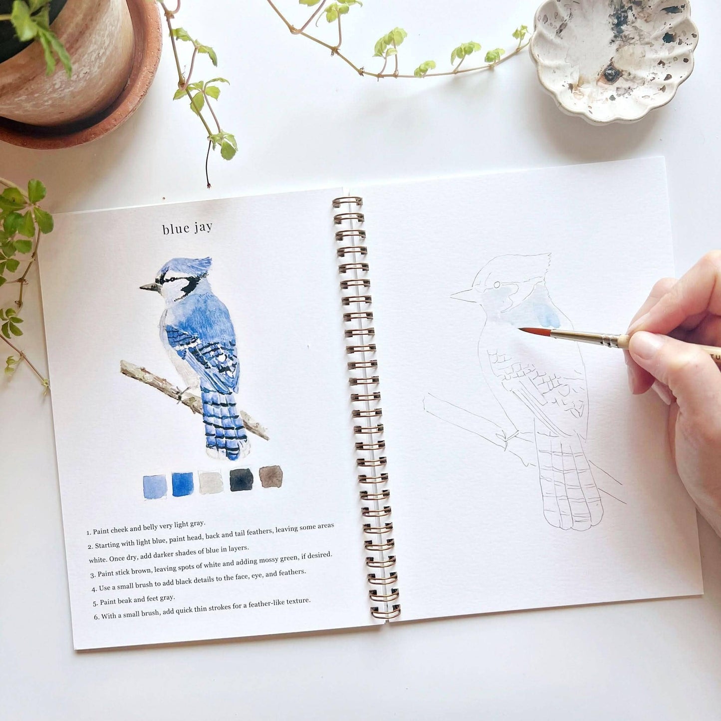 Birds Watercolour Workbook